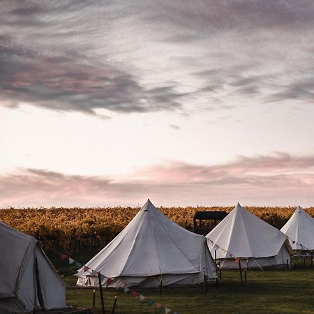 Coonawarra Bush Holiday Park Εξωτερικό φωτογραφία