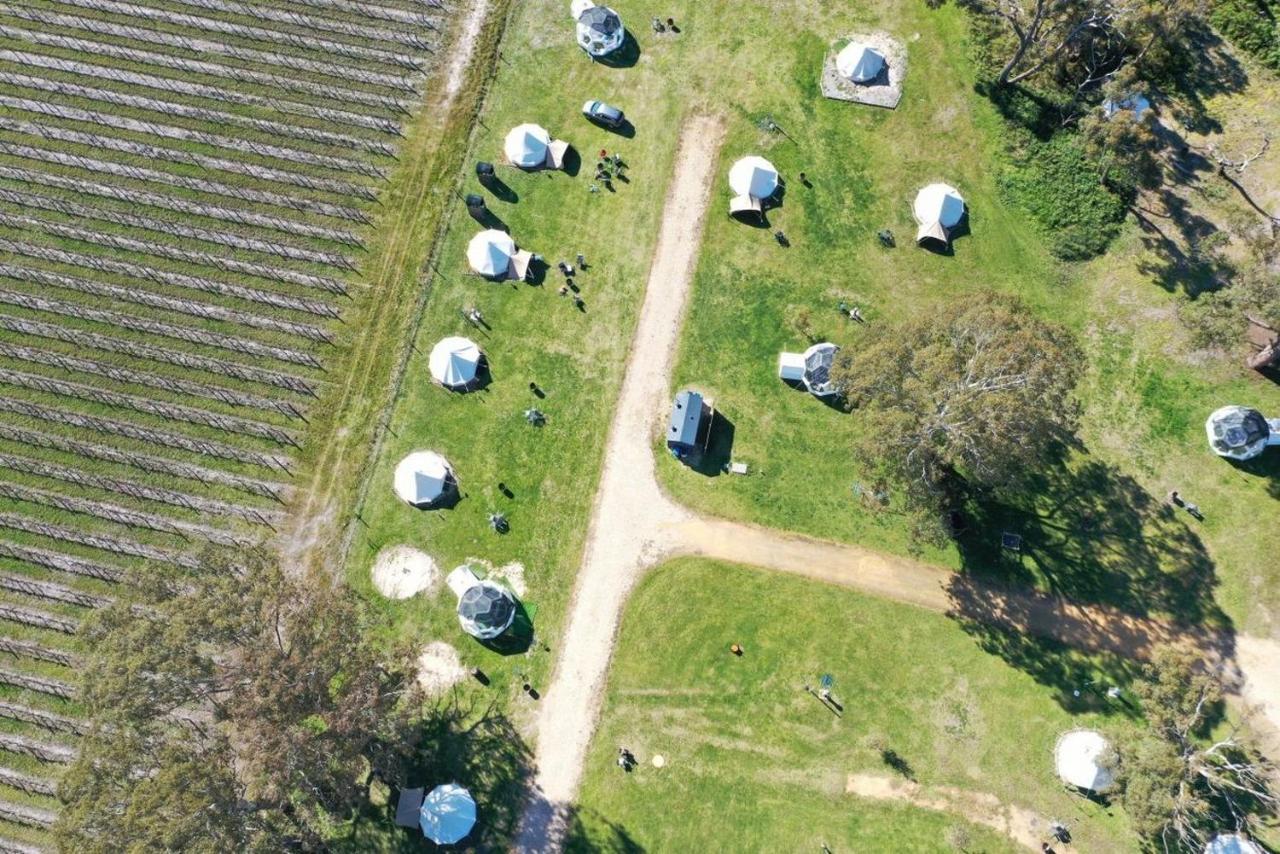 Coonawarra Bush Holiday Park Εξωτερικό φωτογραφία