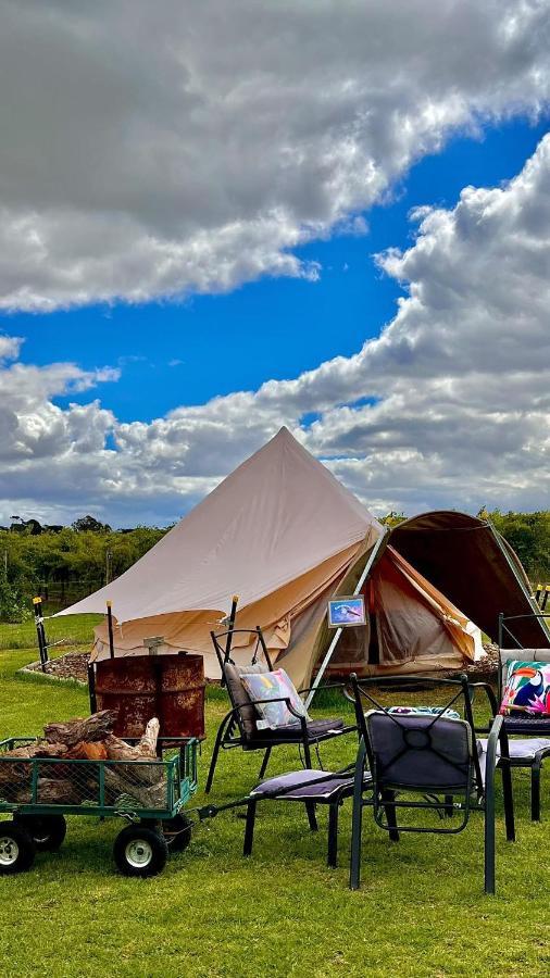 Coonawarra Bush Holiday Park Εξωτερικό φωτογραφία