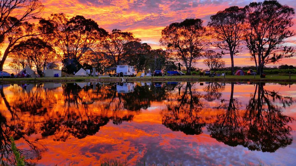 Coonawarra Bush Holiday Park Εξωτερικό φωτογραφία